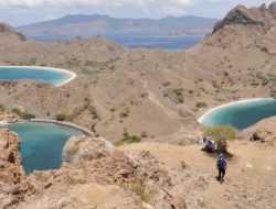 Seperti Pasar, Kemenhut akan Perketat Kuota Wisatawan ke Pulau Padar Komodo
